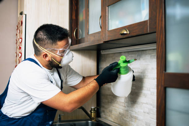 Best Pest Prevention Services  in Bolingbrook, IL