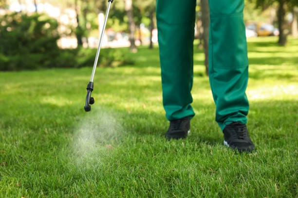 Best Flea Control Services  in Bolingbrook, IL