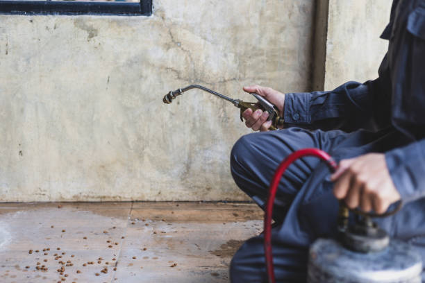 Professional Pest Control in Bolingbrook, IL